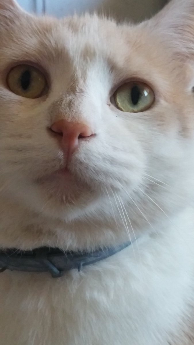eddymeower's tweet photo. Guess what im thinking #tweetme #guesswhat https://t.co/bsL9eqcOfc