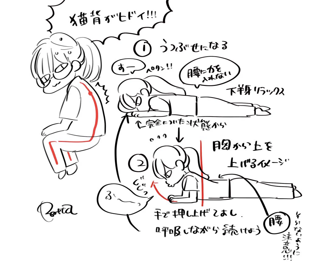 骨盤周りやお尻のこりをほぐして？反り腰や猫背、腰痛を緩和する方法がこれ！