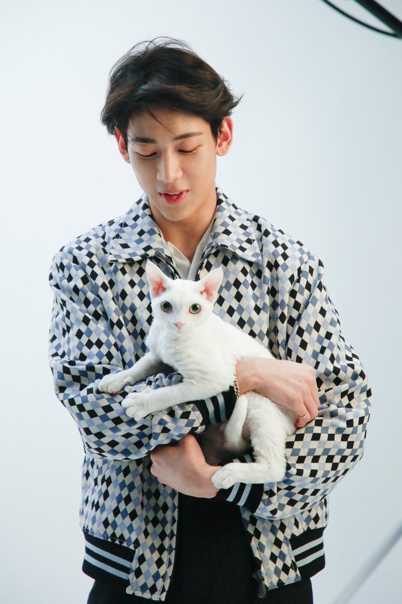 Little One B on Twitter: "Bam said his favourite cat is Pudding #BamBam #GOT7 https://t.co/mtb8eRnDr3" / Twitter