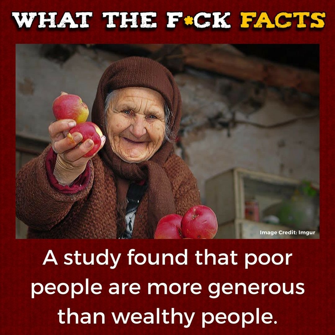 WhatTheFFacts's tweet image. 