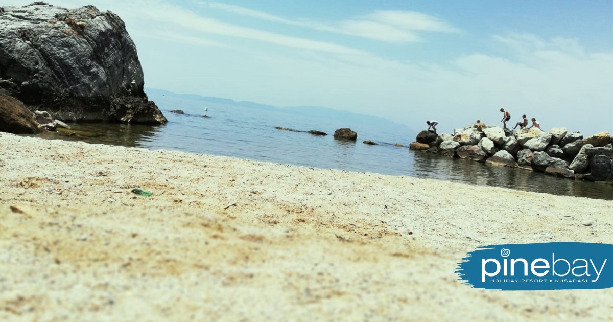 PineBayKusadasi's tweet photo. Mavi, yeşil, deniz, kum, güneş... Tüm doğal güzellikleri ile birlikte burası Pine Bay Holiday Resort, tadını çıkarın :) #pinebay #kusadasi #summer2018 #holiday 
Blue, green, sea, sand, sun ... With all the natural beauty, this is Pine Bay Holiday Resort, enjoy it :) https://t.co/3PjT4VaRzs