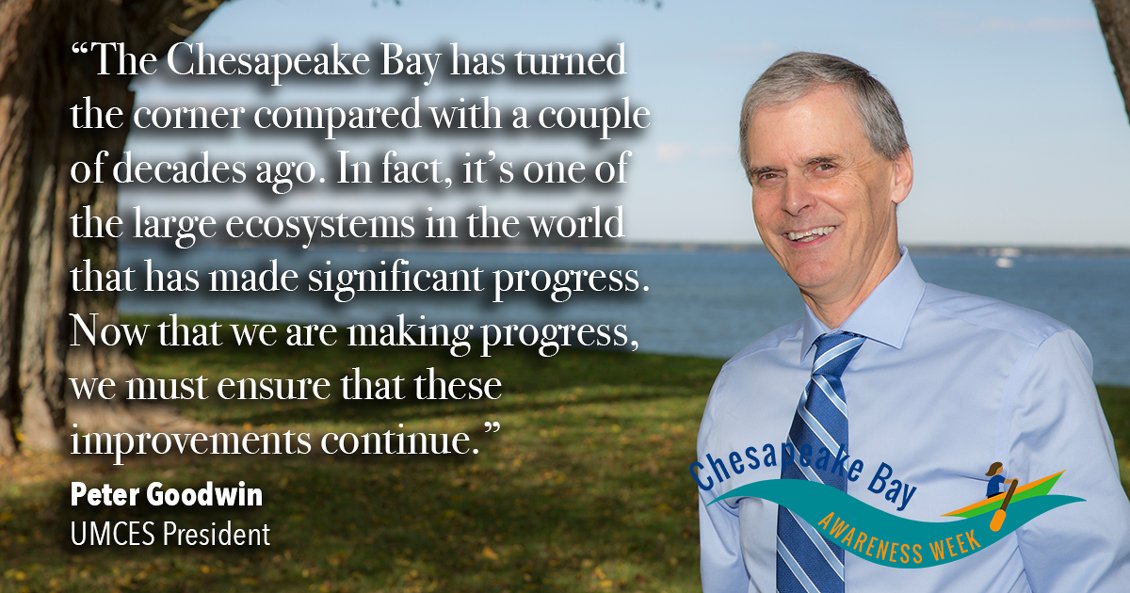 UMCES's tweet photo. The signs of a healthy Bay are there, @pgoodwin_UMCES says: The crabs are back. The water quality is improving. Sea grasses are being observed in locations where they have not been observed for decades. #ChesBayWeek https://t.co/heIy12Xfj8