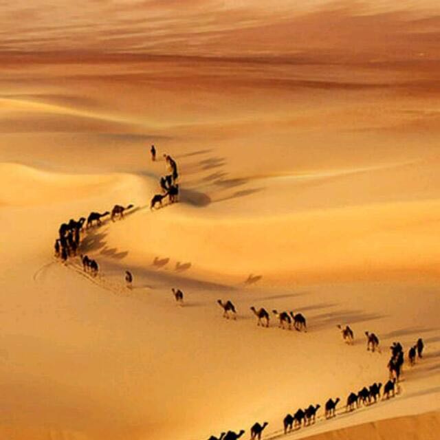 DreamingSandsTM's tweet photo. Enjoy the calm of the silence at #SaharaDesert
@africaupdates @EnjoyNature
#Morocco #Maroc #Marruecos #Travel #Voyage #Viaje #kasbah #tourism #adventure #DreamingSands
https://t.co/WdXxQ3f5ZY https://t.co/yI9a12Kge1