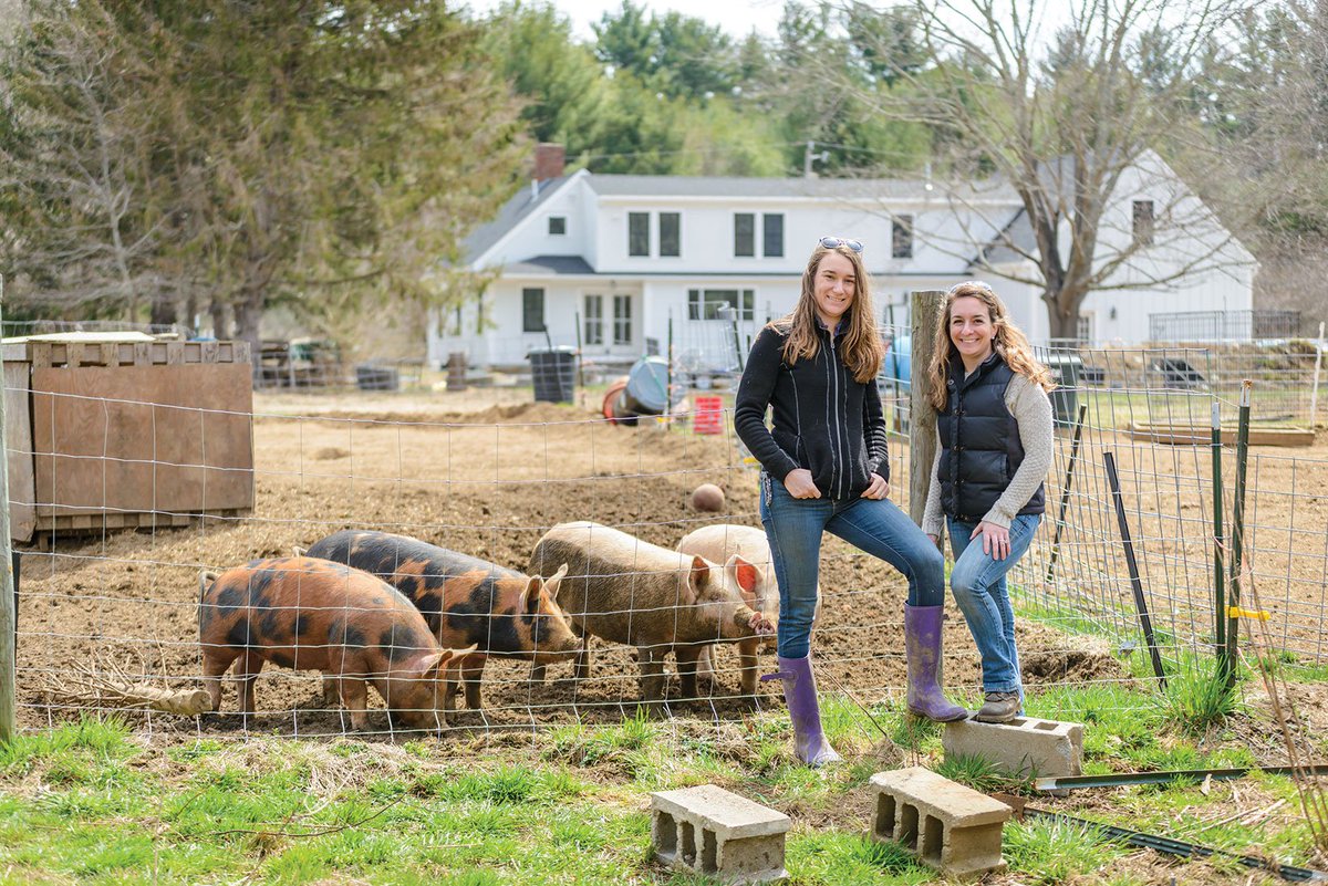 SSLivingMag's tweet image. Do you know where your meat comes from? These two farms are working together to bring pasture-raised beef, pork &amp;amp; poultry to the #SouthShore: ssliving.com/plympton-farms… #pastureraised #eatlocal