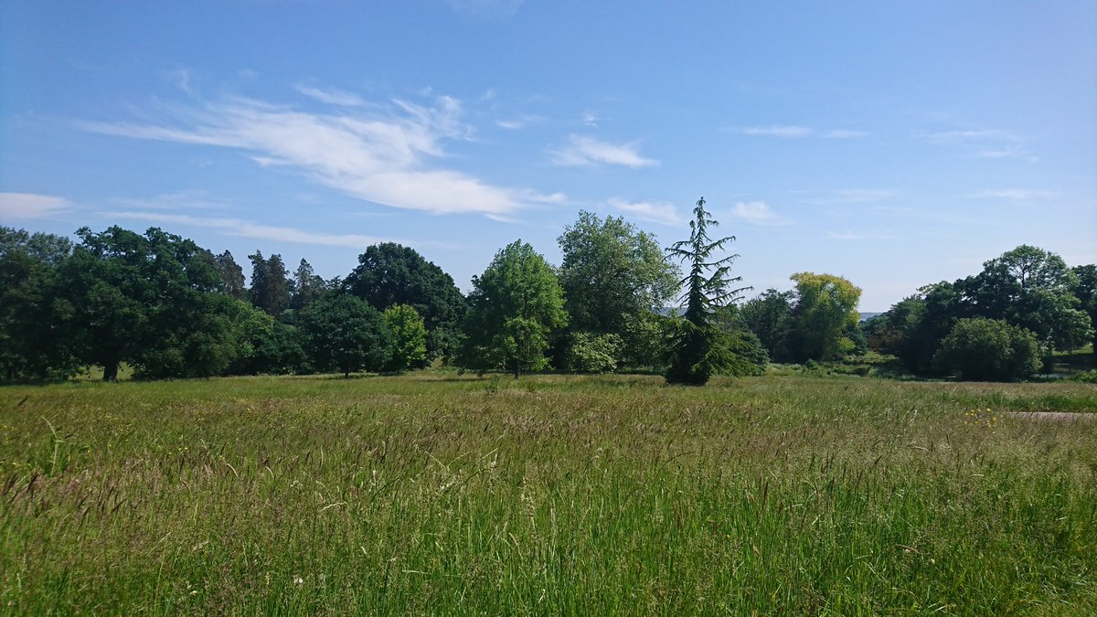 Our lunch view today, after exploring the Extremely Jolly Route at Escot Park, save the date - Saturday 22nd December.