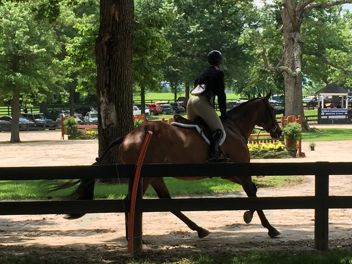 Ann_Ell_Designs's tweet photo. The 165th Annual Upperville #Hunter/Jumper Horse Show located in Virginia’s beautiful horse and wine country. There’s over 1,400 #horses here this week! 😁🐴🍷 Fun being in the middle of the action... https://t.co/vbGYwqs3Ho