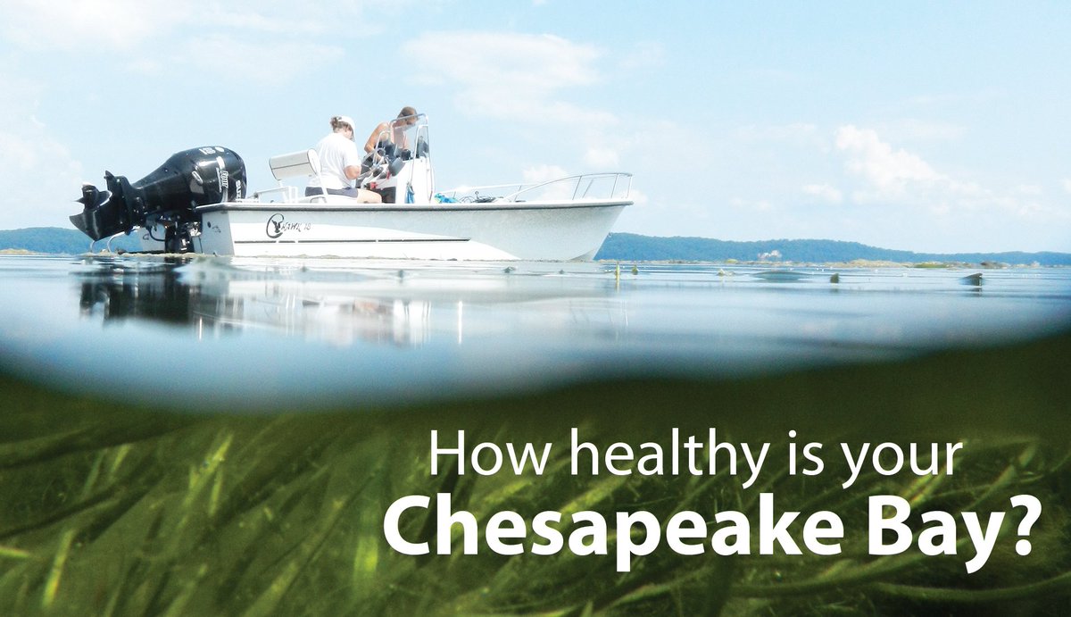 IAN_UMCES's tweet photo. BIG NEWS! The 2017 Chesapeake Bay Report Card is being released next week! Get details here: https://t.co/g2Qc3uDXb3 #RaisetheGrade #OneChesapeake #ChesBayWeek #ChesBay #WatershedAware https://t.co/YBDShmy0mZ