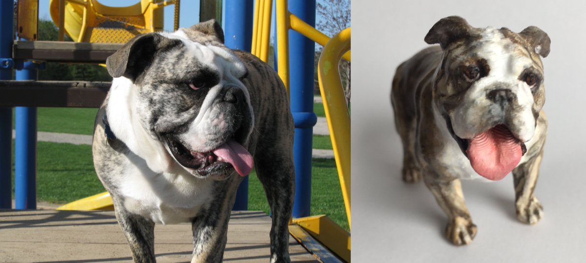 cooldirtspot's tweet photo. It's Hump Day, so here's Humpfrey the big bulldog! https://t.co/xhWN8gDz4d https://t.co/xoKrW9O9VV
