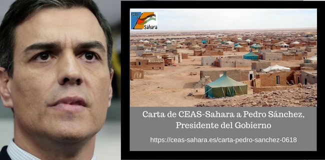 CEAS SAHARA tweet media
