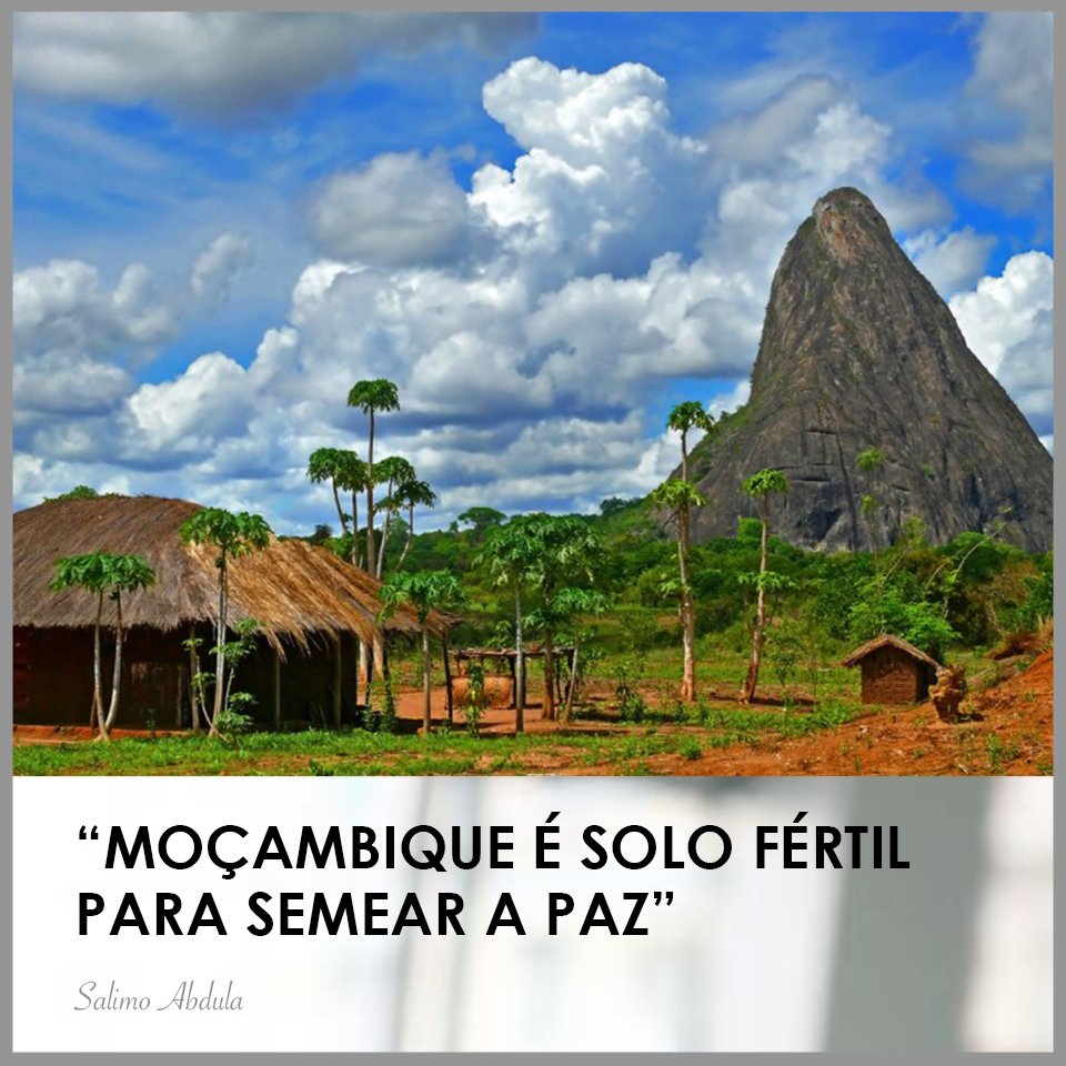 SalimoAbdula tweet media