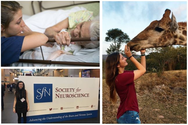 Theta Foundation tweet media