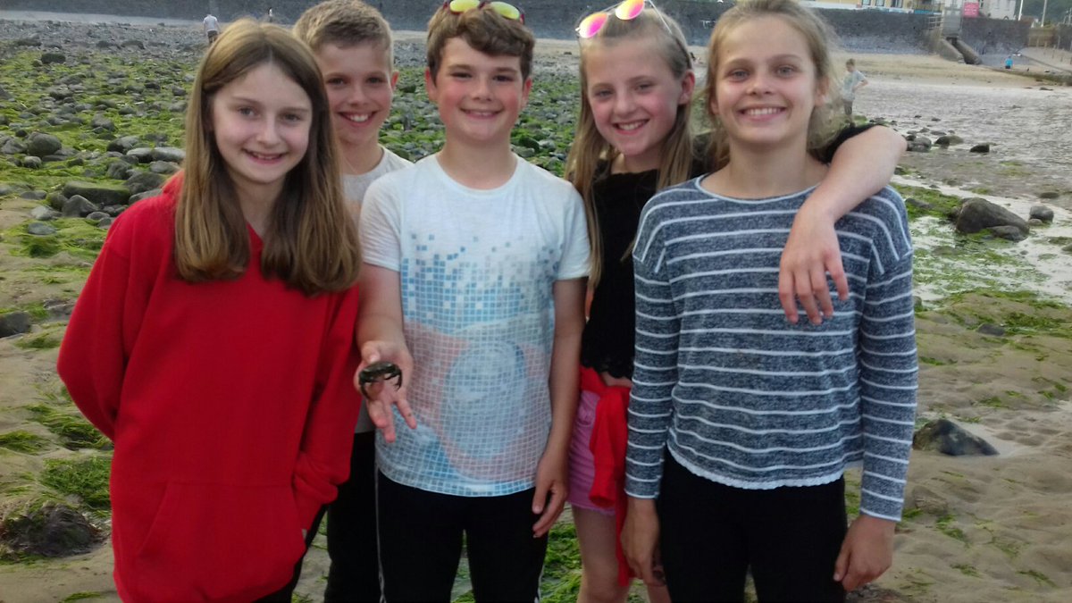 AlexanderHoseaSchool tweet media