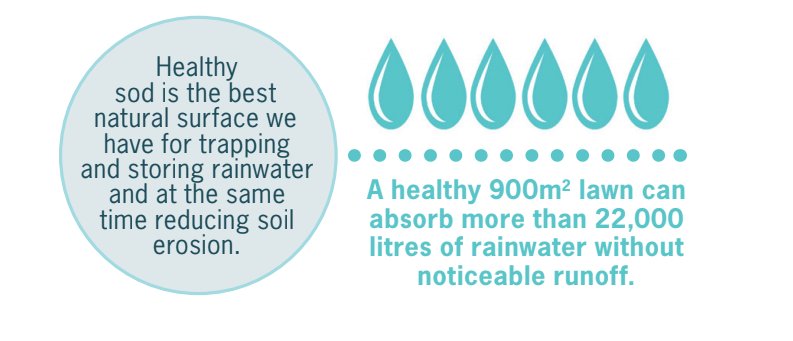 GreenerWorldCA's tweet photo. Lawn root systems act as a natural filtering system, absorbing rainwater and runoff and recharging groundwater, the source of our drinking water. https://t.co/b7EZeztmmP