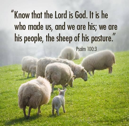 BibleTimeFun's tweet image. God cares for us much better than even the very best shepherd cares for his sheep. So let's live as those who know our Leader, Creator, and King!

#bible #bibleverse #bibleverseaday #biblequotes #faithblogger #verseoftheday #inspirationalbibleverse #Jesus #Bibletimefun #GodIsGood