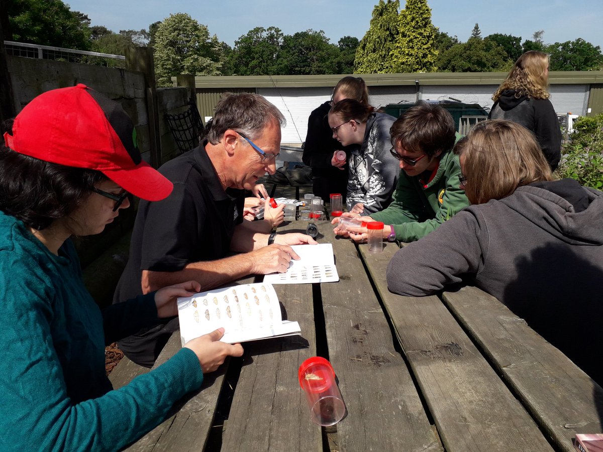 TamaraJewell3's tweet photo. Youth Rangers #Tilgate Park @GGPWildlife just couldn't wait for #mothursday. Trapped some beauties and watched some Dragons of the sky today @SussexWildlife https://t.co/GxQ129EhLM
