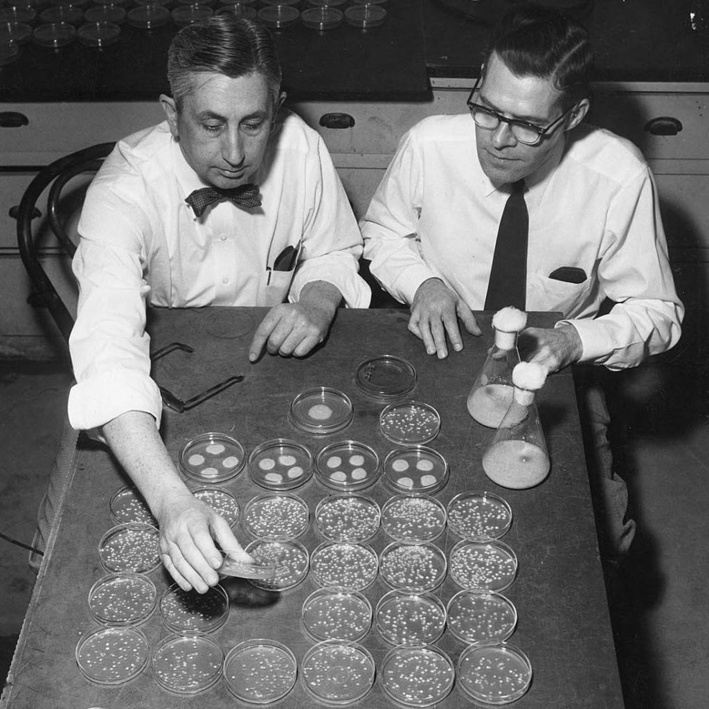 UWMadison's tweet photo. 74 years ago today on #DDay, #UWMadison helped supply enough penicillin to Allied troops in time for the invasion. #OnWisconsin https://t.co/rXFFSigkmf https://t.co/0BNxvzwpAl