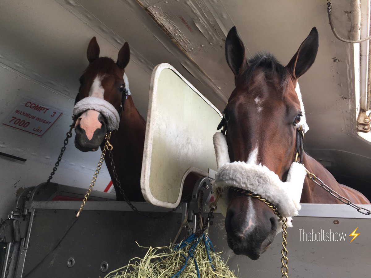 theboltshow's tweet photo. Bolt d’Oro and Justify arrive in New York! #boltdoro https://t.co/6BlmSYYEQ0