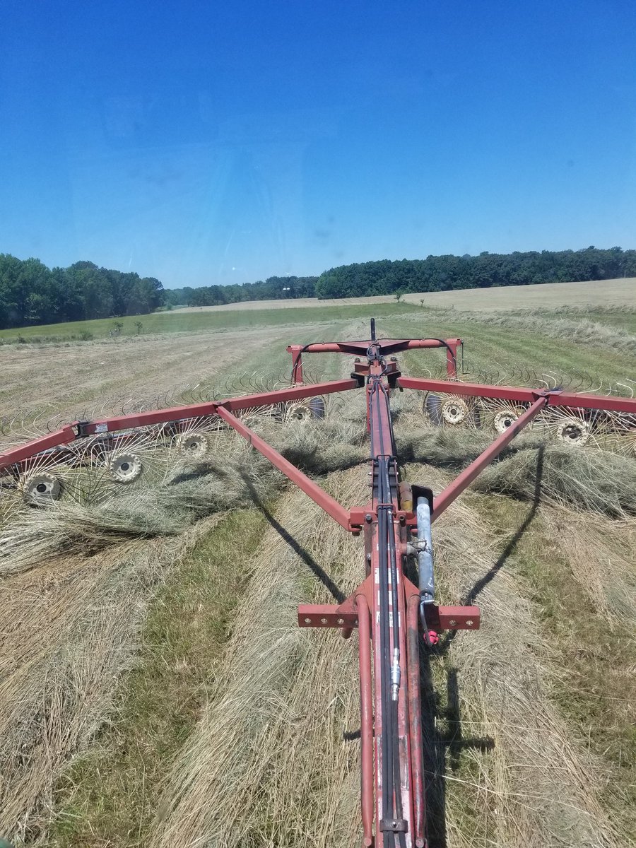 eric6356's tweet image. Looking in the rearview mirror
#TNag
#Herefords
#makinghay