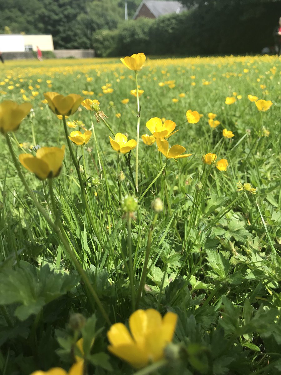 Miss Cecen tweet media