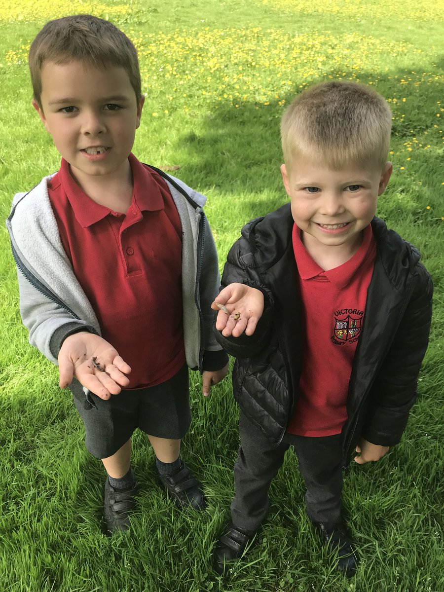 Miss Cecen tweet media