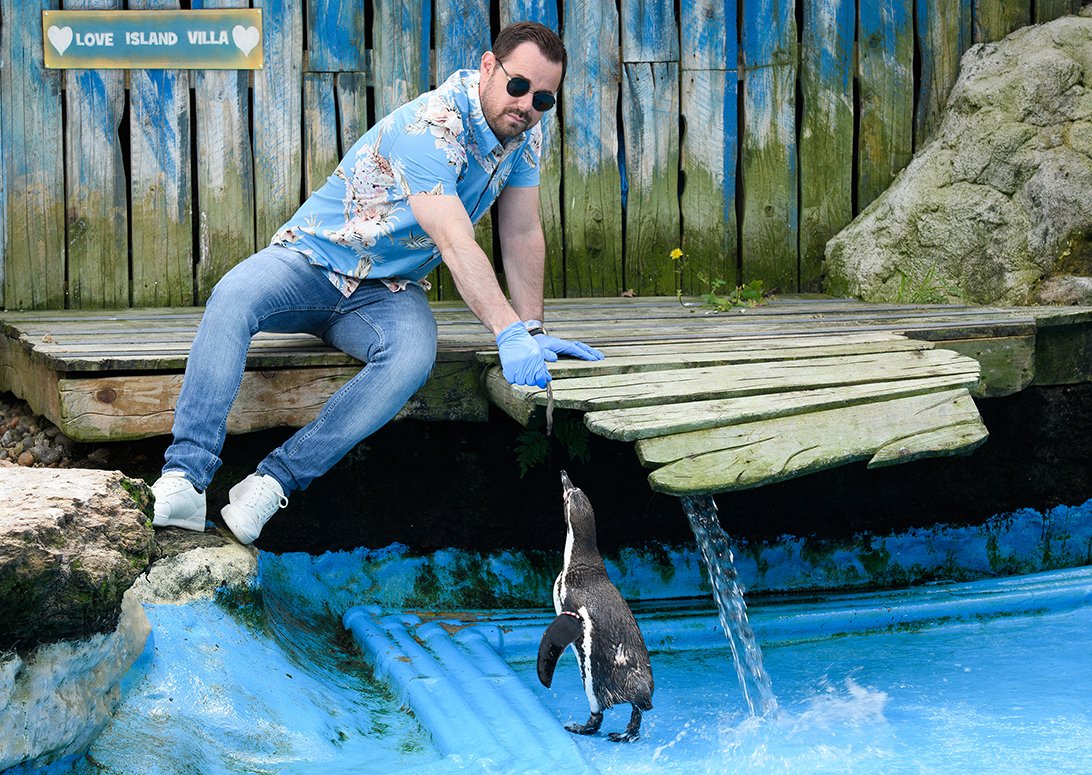 CWOA's tweet photo. Set your alarms, birds, Danny Dyer narrates Penguin Love Island Episode 2 at 9:10pm… #PenguinLoveIsland #LoveIsland https://t.co/msVJbZQas8
