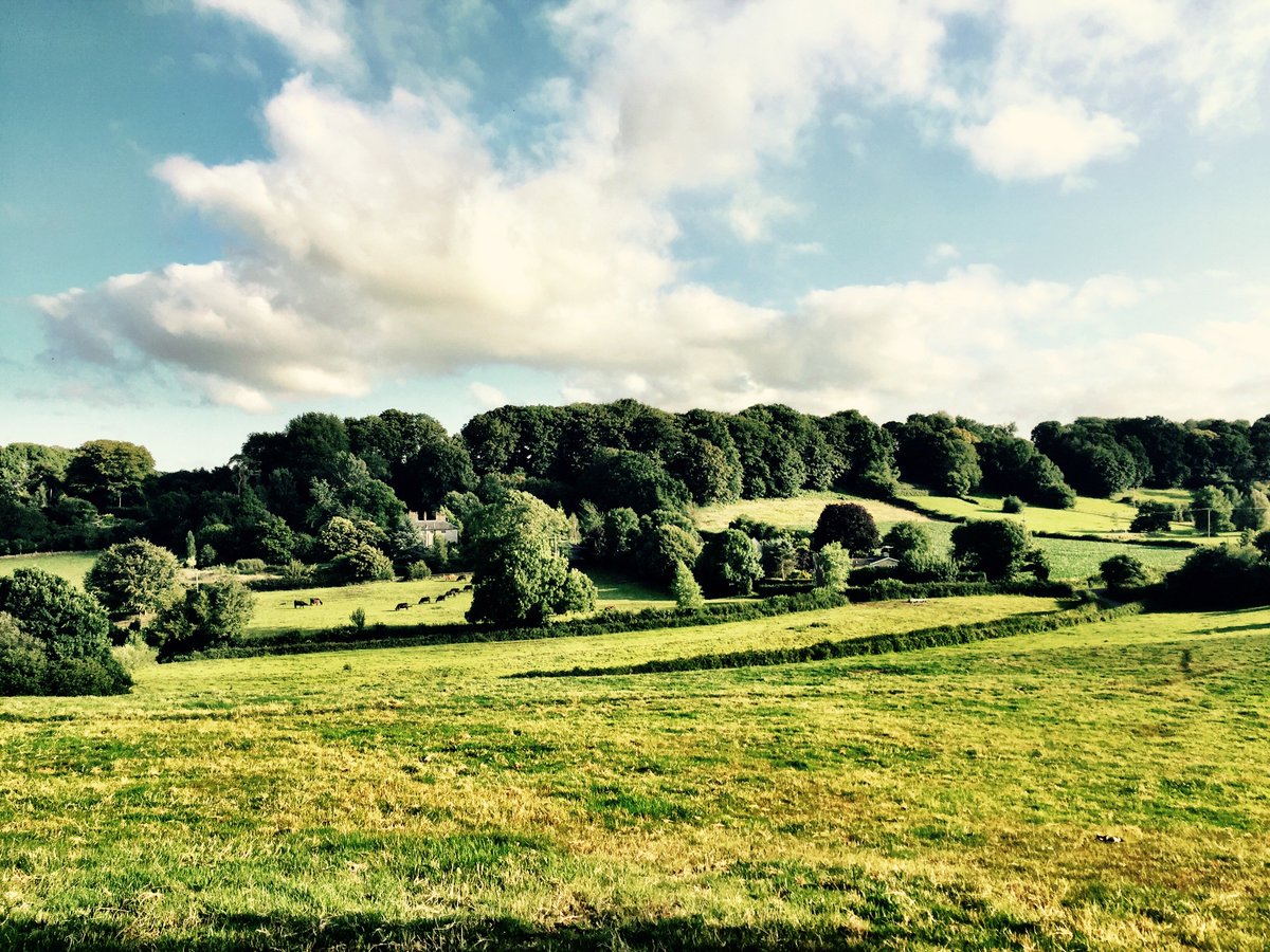 NeptuneWilton's tweet photo. God's Own County. Walk the River Nadder and sigh at the views #SuttonMandeville #Fovant #Chicksgrove #Wiltshire #Heaven https://t.co/ZEYYwCoPLm