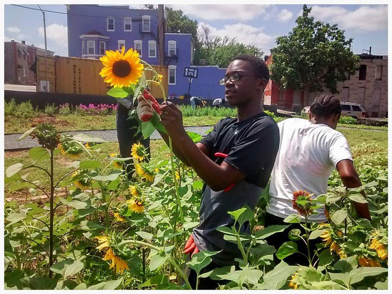 Ebony Flake tweet media