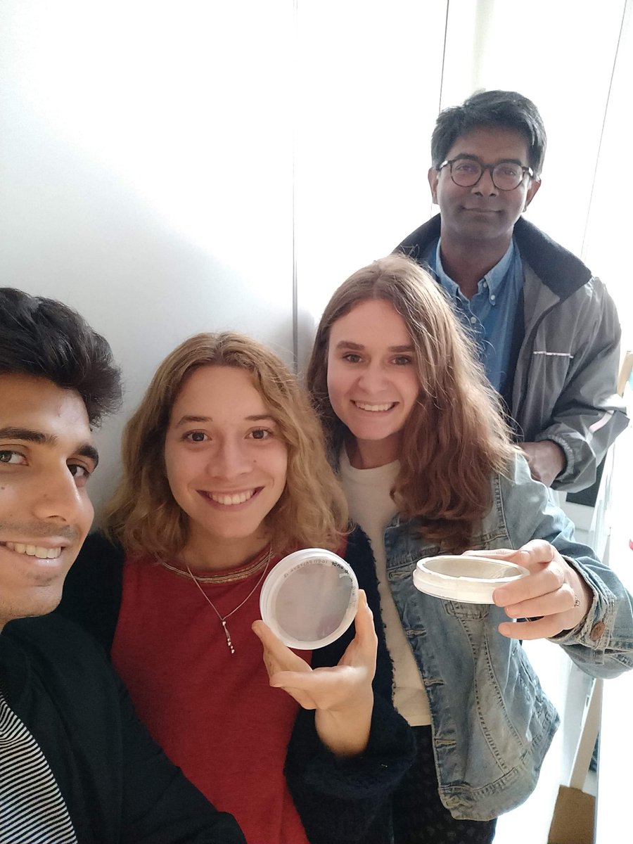iGEM_Pasteur's tweet image. Strains from @Igem_Sorbonne are here ! Thank you very much. Now go #interlab ! #igem2018