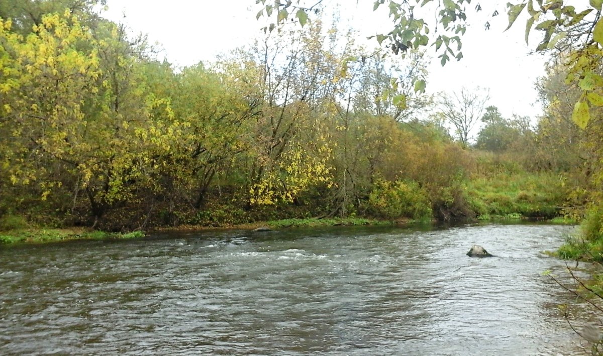 калтанчик река. река бега. река течет. сбежавшая река. река выжум.