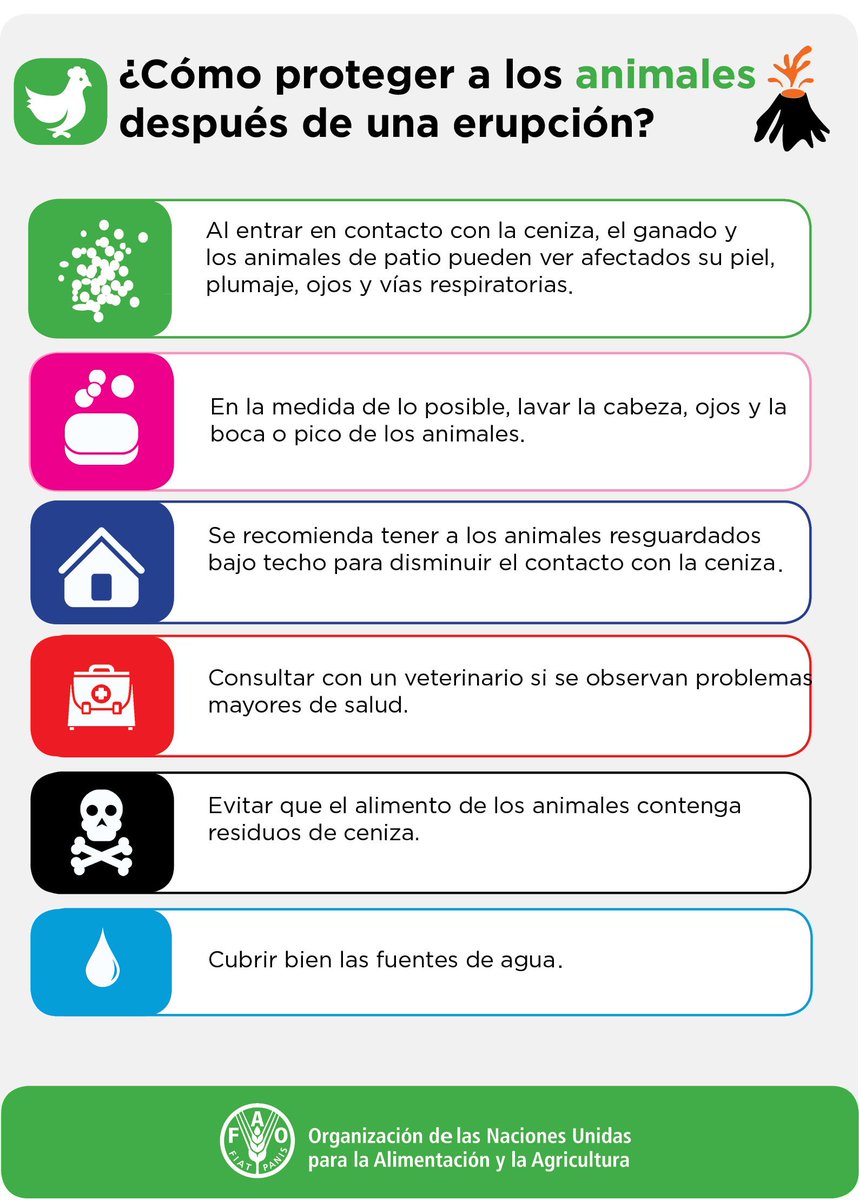 #SabíasQue es posible tomar medidas para proteger a los animales después de una #erupciónvolcánica? Aquí encontrarás algunas recomendaciones sobre #GestióndeRiesgoenAgricultura  🐮🐖🐓🦃🐤🐴