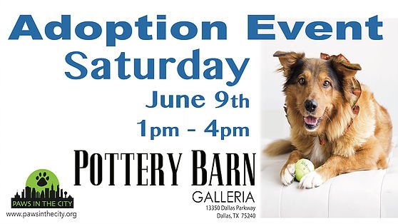 133350 Hashtag On Twitter