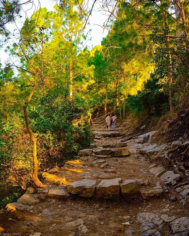 SpectacularPK's tweet photo. The path towards Monal in Islamabad. Photo by @i.laeeqabbas .
🇵🇰 .
Tag #SpectacularPakistan to get featured
.
#dawndotcom #etribune
#st_ofpakistan #tourofpakistan🇵🇰 #lahore #pakistan #islamabad #rawallake #skyporn #banigala #l4l #photography #artofvisuals #picoftheday #i… https://t.co/g5zkDnbCFX