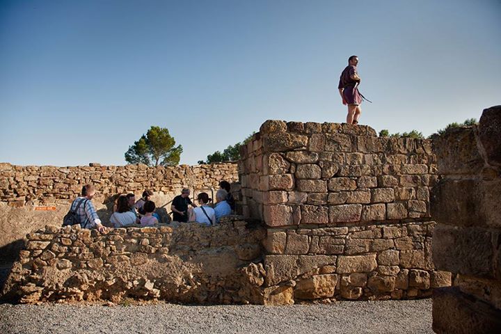 Museu d'Arqueologia de Catalunya tweet media