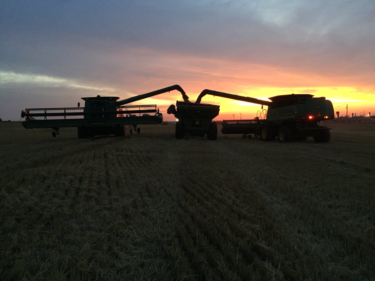 Ellison_farms's tweet photo. Can’t beat Oklahoma sunsets and harvest nights https://t.co/JMCHvBPJKz