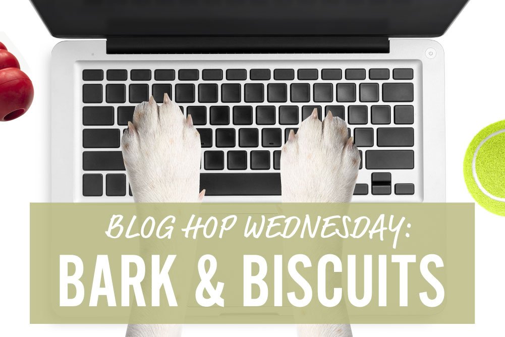 Elizabeth McGrath from <a href="/BarkandBiscuit/">Bark and Biscuits</a>  talks about her and her pup's ongoing adventures through pet photography in our latest Blog Hop Wednesday post. See why this aspect of blogging is her absolute favorite! ms.spr.ly/6019rNuj9