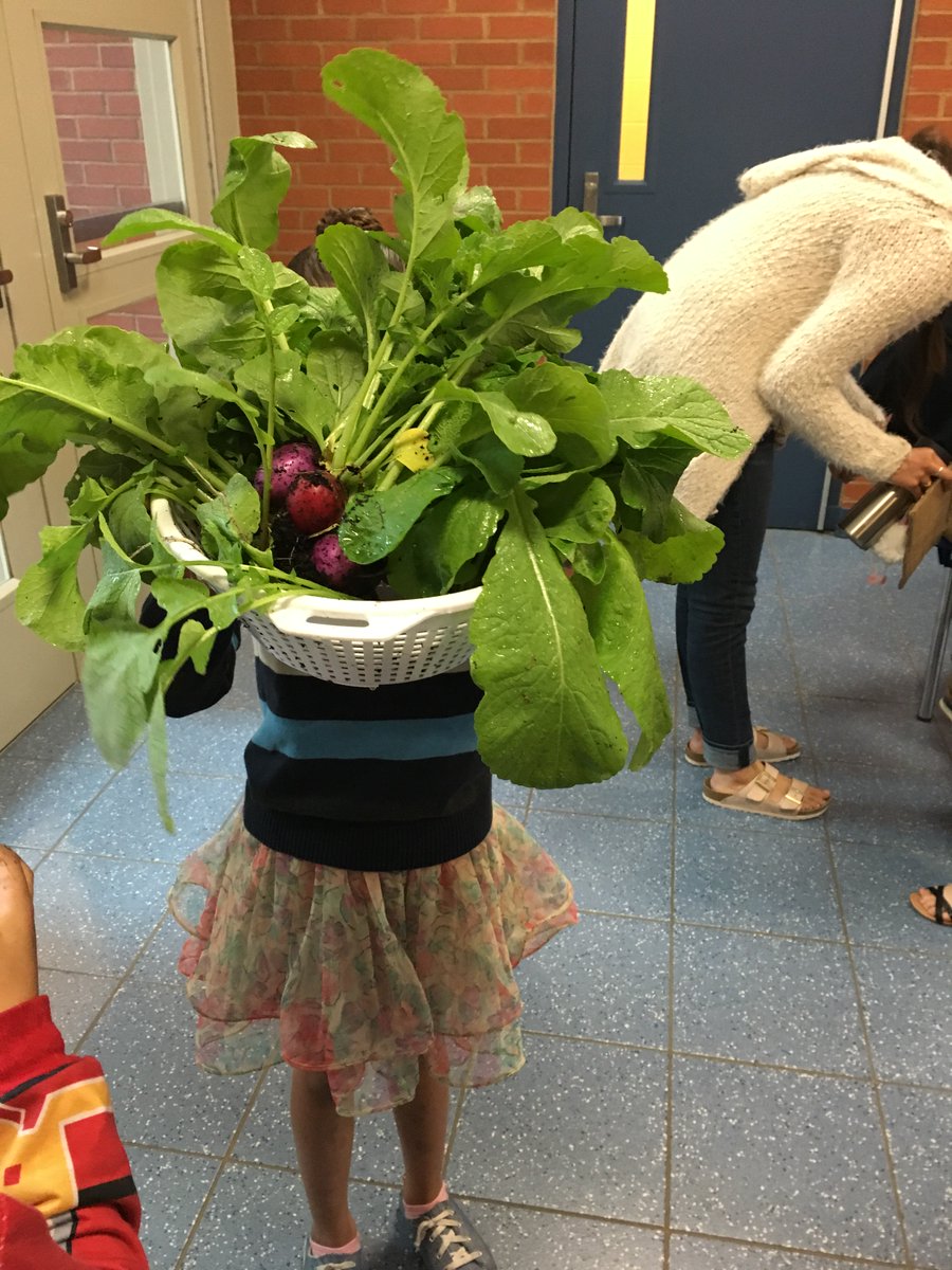 FoodCorps's tweet photo. FoodCorps students in Connecticut are harvesting radishes literally as big their heads! Gardening is a great way to get kids eating veggies. #NationalGardenWeek https://t.co/6gEkYmQXmX