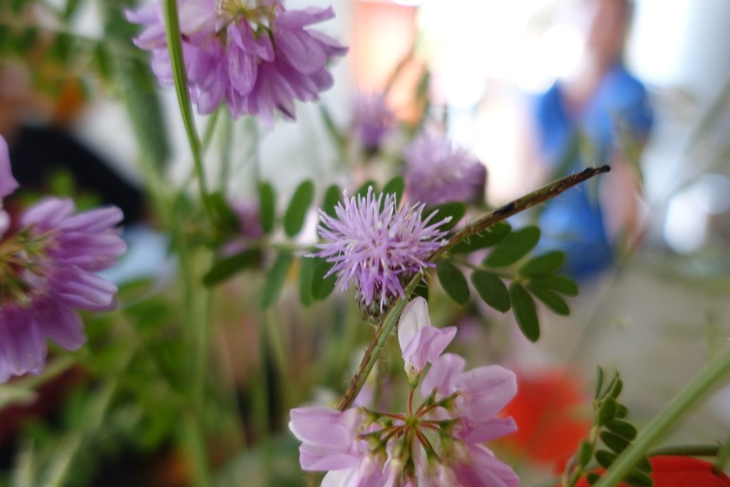 GreenOfficeKN's tweet photo. Heute während der #projektwocheUtopien: Tischmesse im Foyer, Workshop zum Positionspapier Nachhaltige Entwicklung der #unikonstanz, Open Gardening und Open-Air-Kino: https://t.co/GlPvoPvvCW https://t.co/oyUMC2EUzr