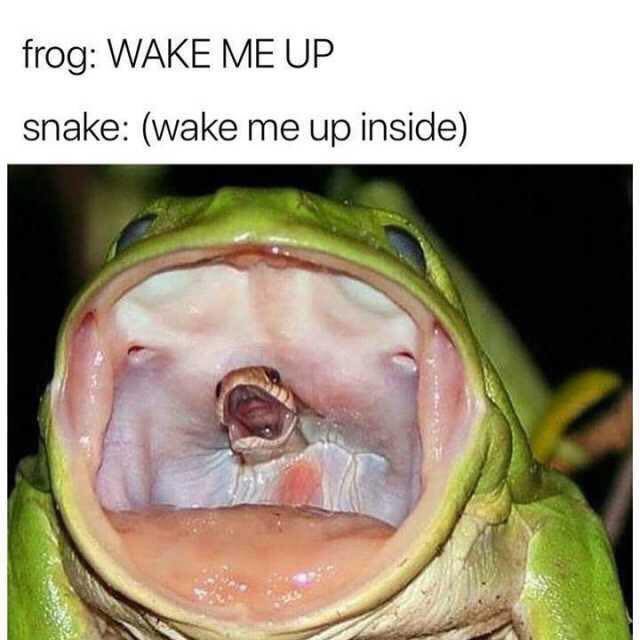 kwla spam account (@kwlaspam) on Twitter photo 