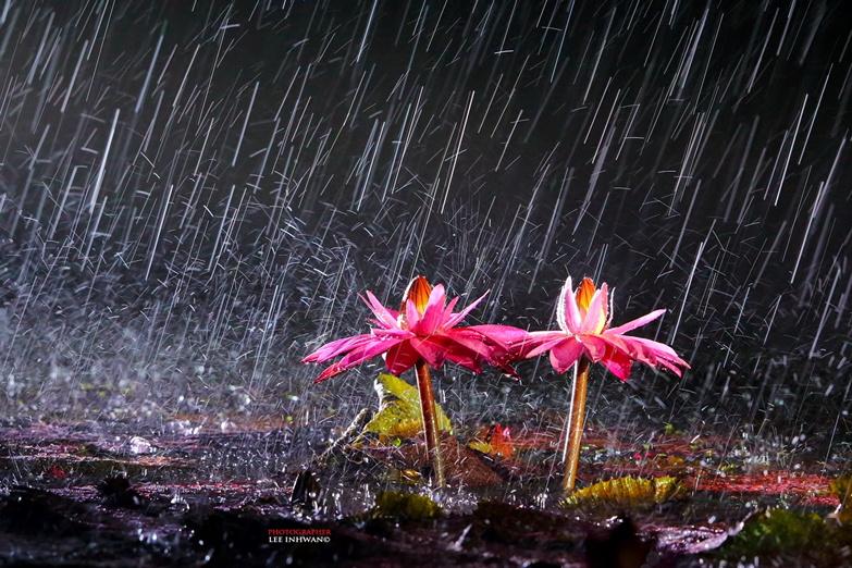 역경도
지치는 날 오겠지

당신이 먼저 지치지만 마라

시련도
끝나는 날 오겠지

당신이 먼저 포기하지만 마라

고난도
물러가는 날 오겠지

당신이 먼저 물러서지만 마라

그러면 모두 이겨낼수 있을것 이고
승리는 당신 몫이 되는 것 이다