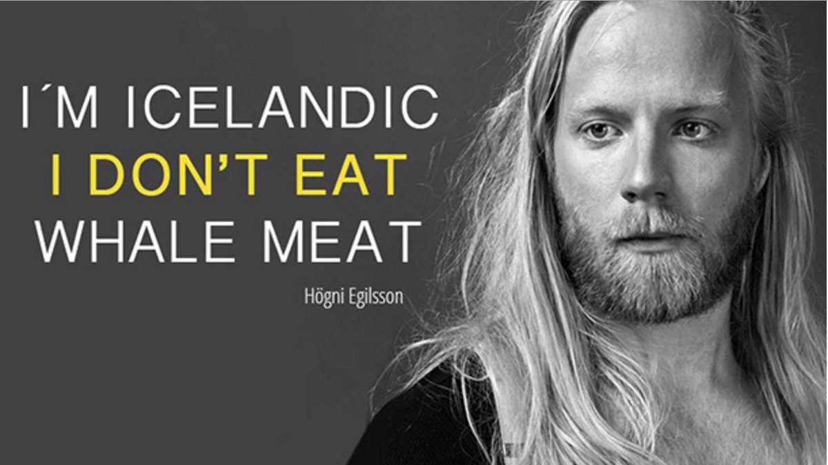 Quad_Finn's tweet photo. Support for Whaling Continues to Drop: Only 34% of Icelanders Now Support. Opposition to whaling has risen dramatically, especially among young people, women &amp; college graduates. https://t.co/U0hb3RmYGw https://t.co/zsey6NdFzx