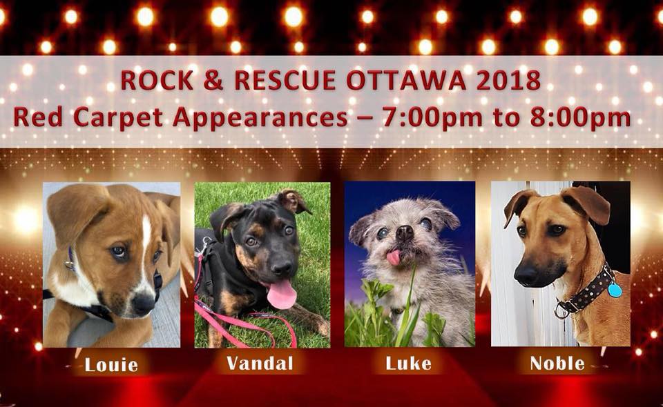 Look who will be there to greet you from 7:00 to 8:00 at the #rescueeventoftheyear :)