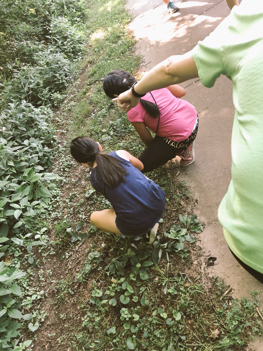s_tufts2's tweet photo. Thank you Lenoir City Police Dept 🚓for helping our @ReadtobeReadyTN 📚camp get into “the woods” 🌲today to explore the habitat around us...AND for helping support @LenoirCitySch writers! 📝”If I can talk about it, I can write about it.” #R2BR ❤️🐾 https://t.co/D5CPHMmRw6