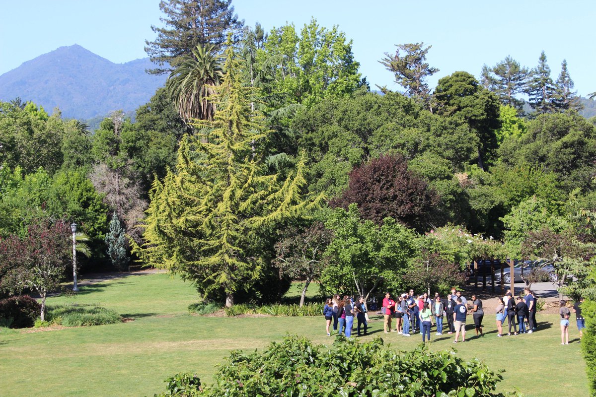 DominicanCANews's tweet photo. Dominican welcoming @UCMerced @CSUMB and @DVC_updates this week to annual @LeaderShape #BayAreaConsortium on campus. #LeaderShape #Institute #ToLeadLive #VisionWork #StartCloseGoFar #PenguinPride #ThisIsDUC https://t.co/Br1kQiEt4v