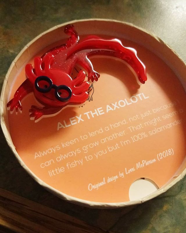 MichelleDelury's tweet photo. That face! 😍 This is Alex and he's simply gorgeous #axolotl #broochesofinstagram https://t.co/rammRzPyG3