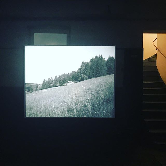 CuratorView's tweet image. #sophienys #notashoe exhibition 2018 (installation view) #guimaraesvienna #heidegger #schubert #blackforest #todtnauberg #thomasbernhard #contemporaryart #curatorseye #contemporaryartdaily #musetech #askacurator #collectingart #contemporaryartcollectors … ift.tt/2LtbUP1