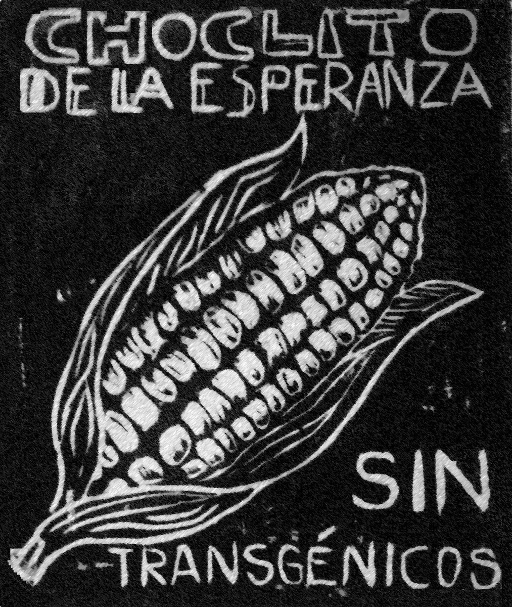 ChaskiClandstin's tweet photo. #NOtransgénicos #Bolivia 
Choclito de la esperanza, sin transgénicos.
Semillas libres!!!!!!!!!!!
#humintas #LawaDeChoclo #ChocloConQueso #MazorcaTiernaDeMaiz #LasHijasDelMaíz
#GrafikaKlandesztina https://t.co/qJQgnwpJ4L