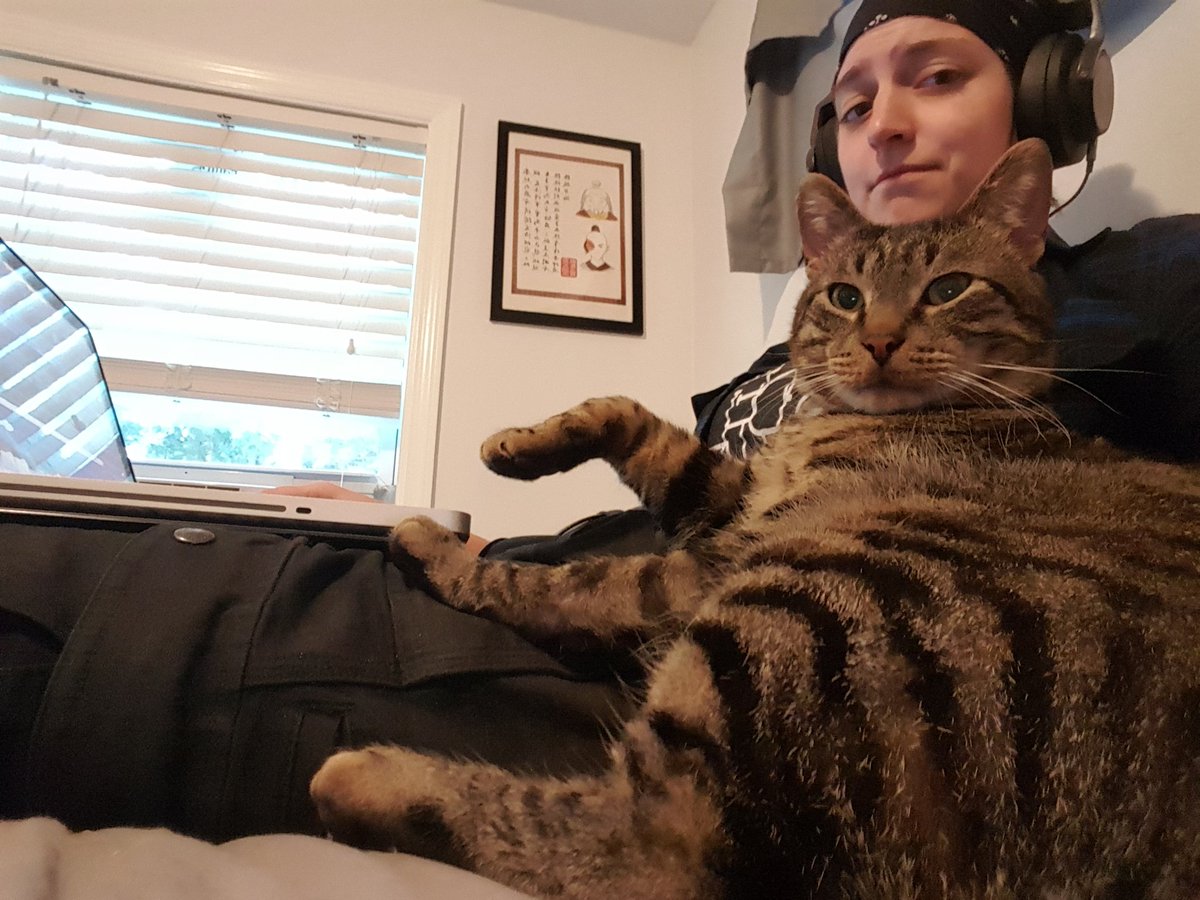 SureDevon's tweet photo. He's being very critical of my editing skills. Like, back off, dude. Get your own podcast. @SMPresent @IDoHumanThings #easpod #catpodcasters https://t.co/BntAZVljas