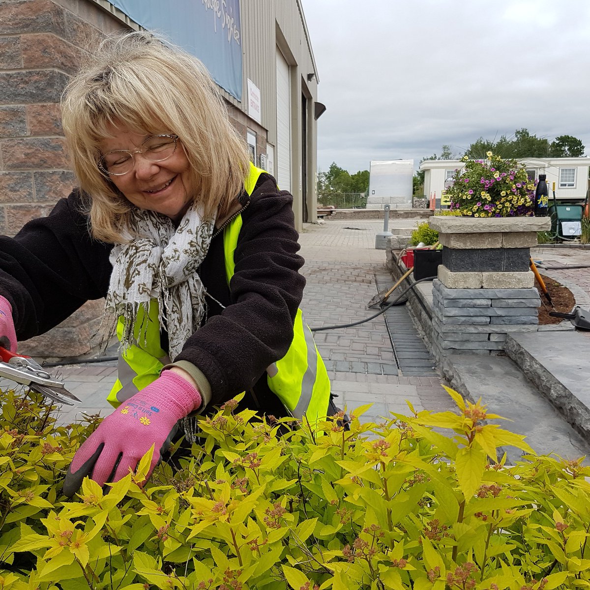 Told <a href="/ChrisArnts/">Chris Arnts</a> <a href="/ArntsTopsoil/">Arnts</a> that the gardens in the displays were looking rough. Should have kept quiet. Now I'm giving them a makeover.