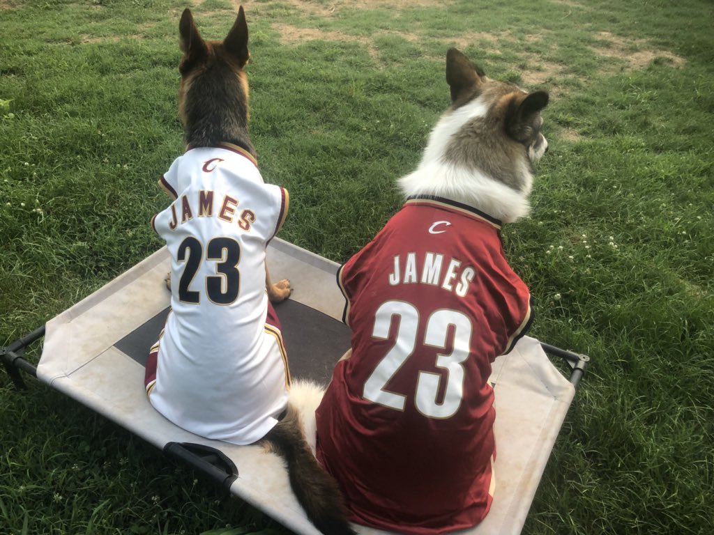 OLK9_Arkansas's tweet photo. These pups can’t wait to watch their favorite 🐐 tonight @KingJames and hear about it tomorrow on their favorite show @FTFonFS1 @JennaWolfe @getnickwright @criscarter80  
#traineddogspicklebron #NBAFinals18 #happytraining #arkansas https://t.co/CwlsPH1ijB