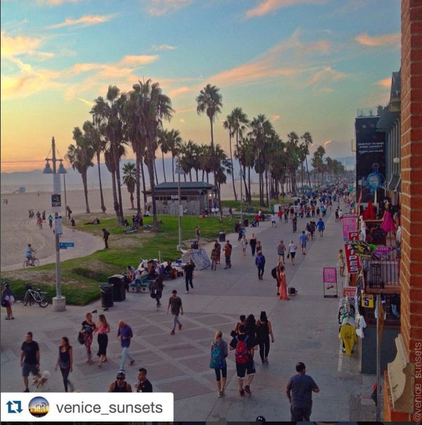SMBigBlueBus's tweet photo. From shopping on Abbot Kinney to strolling the Venice Canals, Venice Beach has activities for everyone! Find out how Big Blue Bus can take you there https://t.co/KZ0Ifgyo0I #blueadventure #bigbluebus #venicebeach https://t.co/MMeNC67xCe